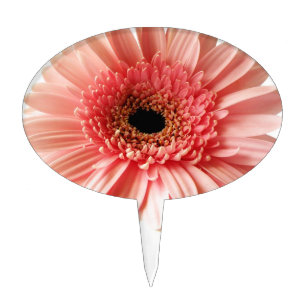 Gerbera Daisy Cake Topper