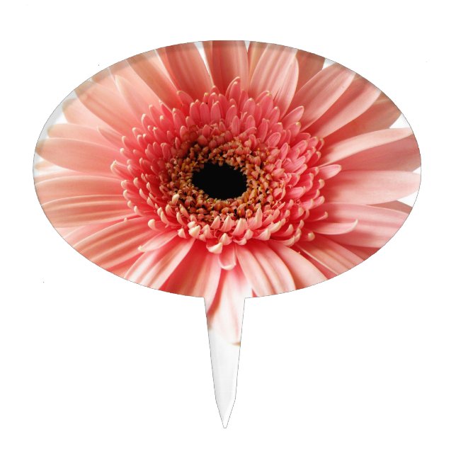 Gerbera Daisy Cake Topper (Front)