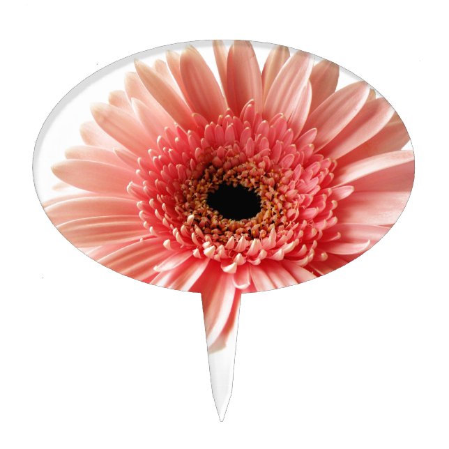 Gerbera Daisy Cake Topper (Front)