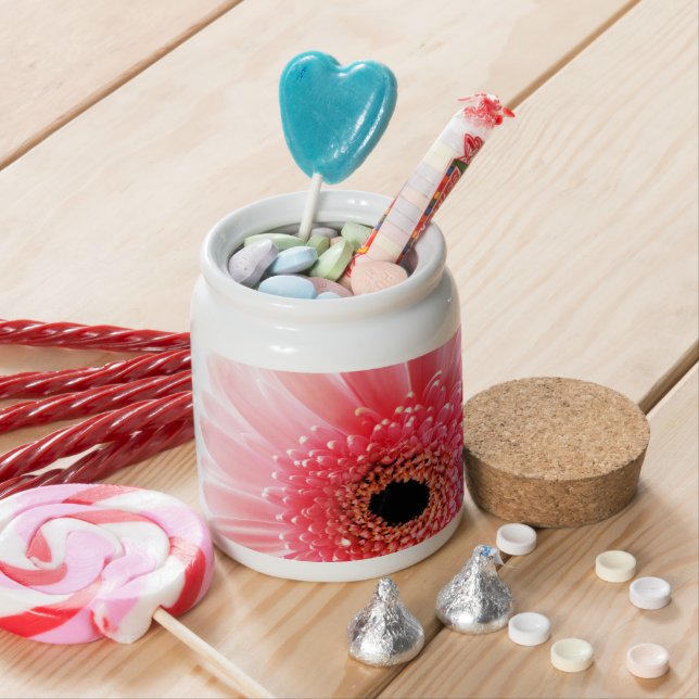 Gerbera Daisy   Candy Jar (In Situ)