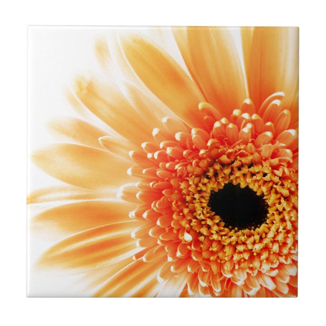 Gerbera Daisy Ceramic Tile (Front)