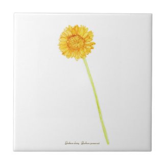 Gerbera daisy  ceramic tile