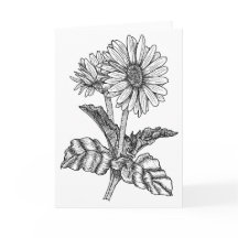 Gerbera Daisy Color It Yourself Blank Greeting