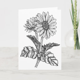 Gerbera Daisy Color It Yourself Blank Greeting Card