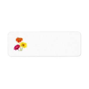 Gerbera Daisy Delight Label