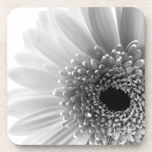 Gerbera Daisy Drink Coaster (Front)