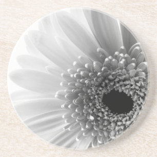 Gerbera Daisy Drink Coaster
