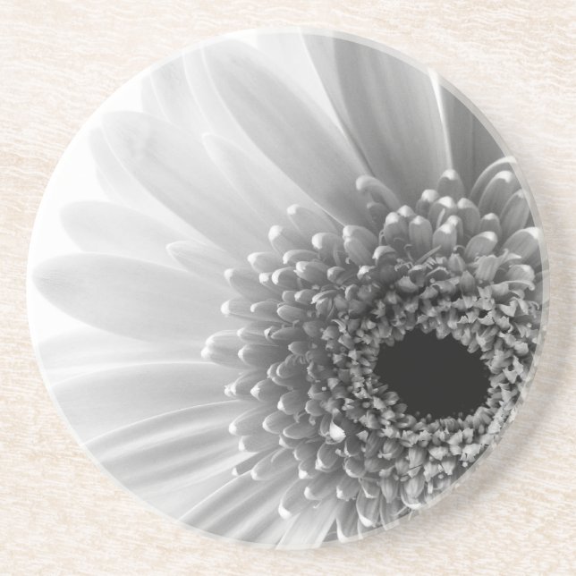 Gerbera Daisy Drink Coaster (Front)