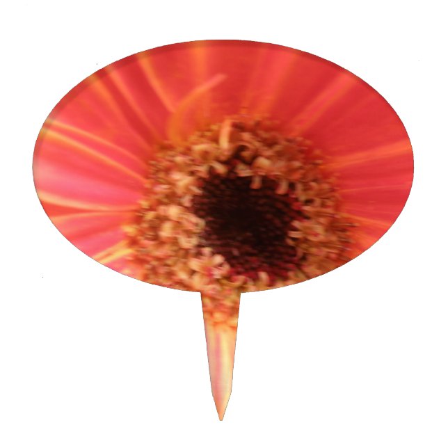 Gerbera Daisy Flower Cake Pick (Front)