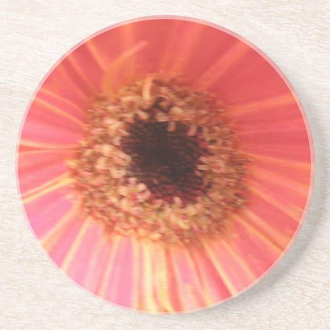 Gerbera Daisy Flower Coasters (Front)