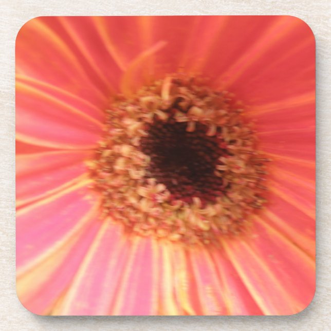 Gerbera Daisy Flower Cork Coaster (Front)