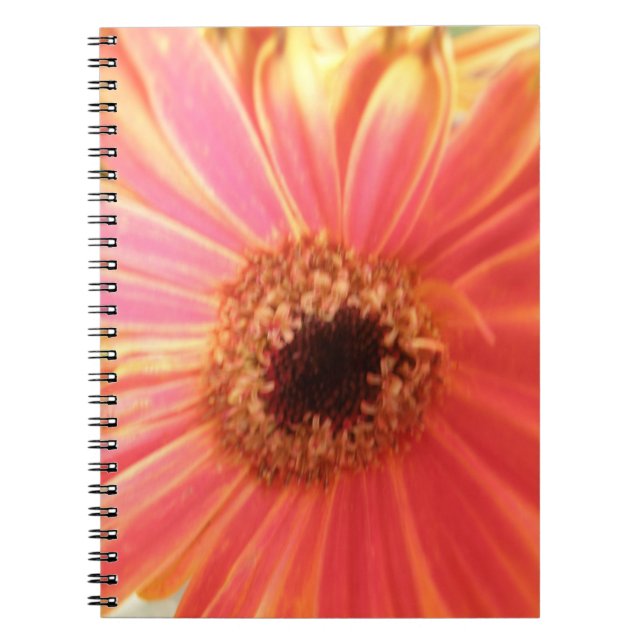 Gerbera Daisy Flower Notebook (Front)