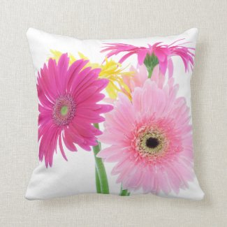 Pink Daisies For Happy Homes