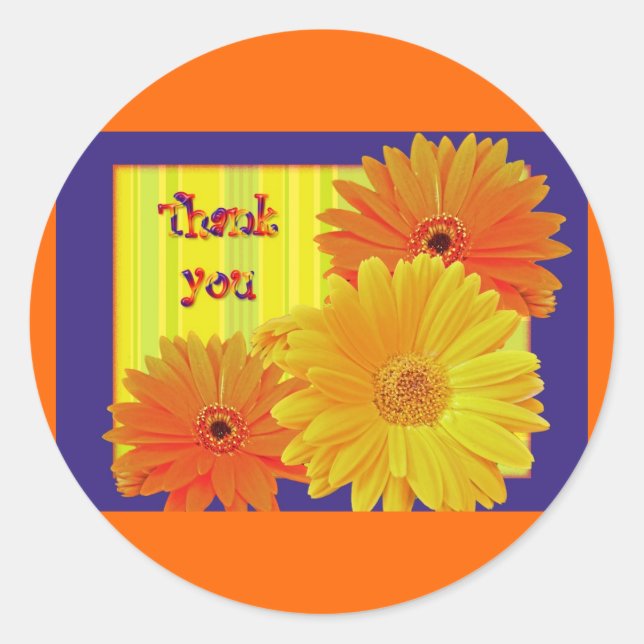 Gerbera Daisy (Gerbera hybrida) - Yellow Classic Round Sticker (Front)