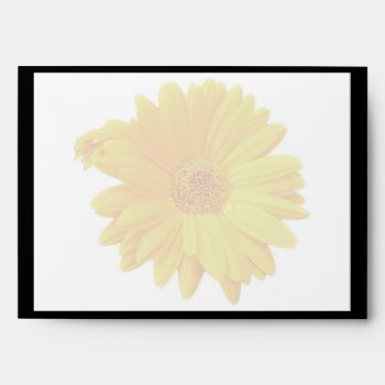 Gerbera Daisy (gerbera Hybrida) - Yellow Envelope by CarolsCamera at Zazzle