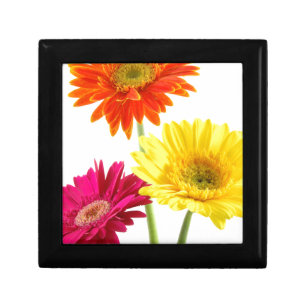 Gerbera Daisy Gift Box
