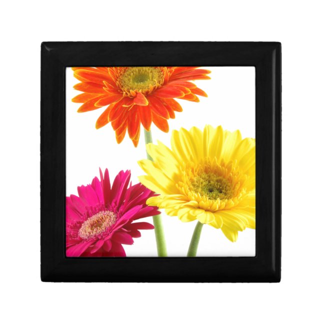 Gerbera Daisy Gift Box (Front)