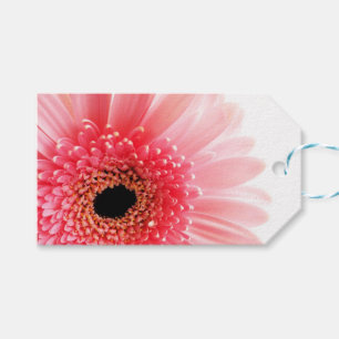 Gerbera Daisy  Gift Tags