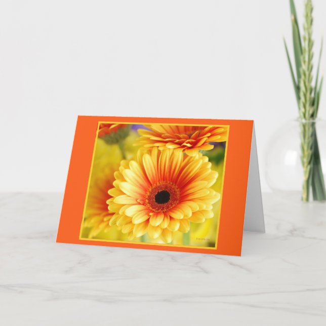 Gerbera Daisy Greeting Card (Front)