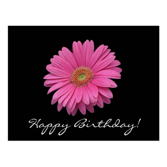 Gerbera Daisy Happy Birthday Postcard