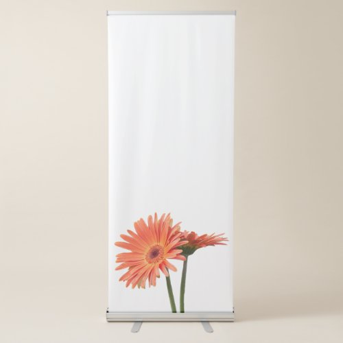 gerbera daisy in the vase retractable banner