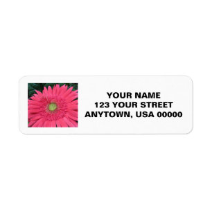 Gerbera Daisy Label
