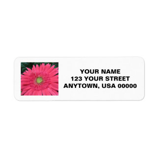 Gerbera Daisy Label