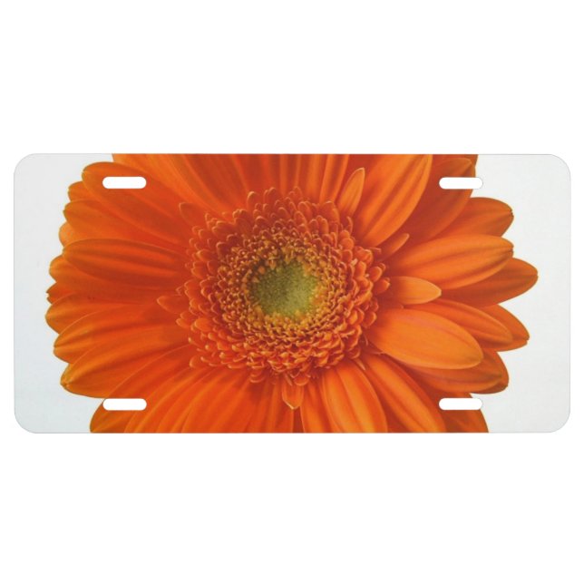 Gerbera Daisy License Plate (Front)