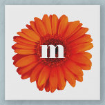 Gerbera Daisy Monogram Initial Faux Canvas Print<br><div class="desc">Burnt orange gerbera daisy flower with a modern lower case typography monogram initial design. Change the initial to personalize.</div>