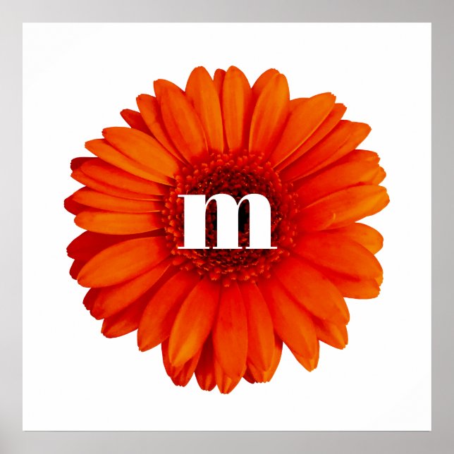 Gerbera Daisy Monogram Initial Poster (Front)