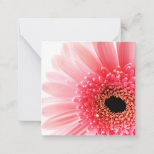 Gerbera Daisy   Note Card