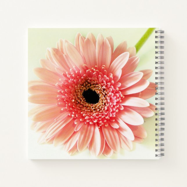 Gerbera Daisy Notebook (Back)