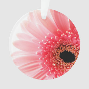 Gerbera Daisy  Ornament