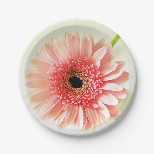 Gerbera Daisy Paper Plates (Front)
