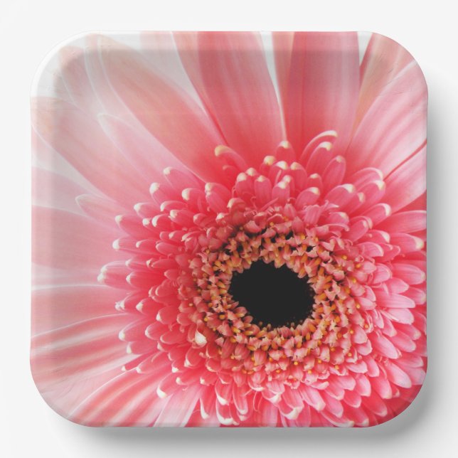 Gerbera Daisy   Paper Plates (Front)