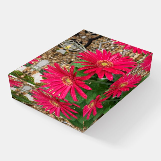 Gerbera Daisy  Paperweight (Angled)