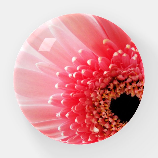 Gerbera Daisy  Paperweight (Front)