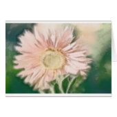 Gerbera Daisy Pastel (Front Horizontal)