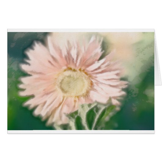 Gerbera Daisy Pastel Cards (Front Horizontal)
