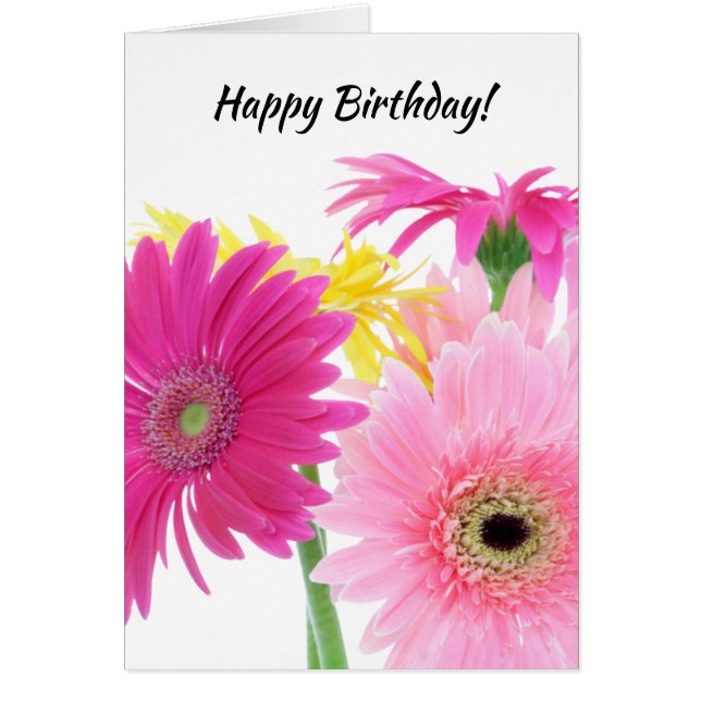 Gerbera Daisy Piink Flowers Cards (Front)