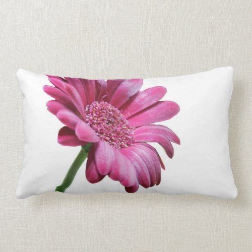 Gerbera Daisy Pillow
