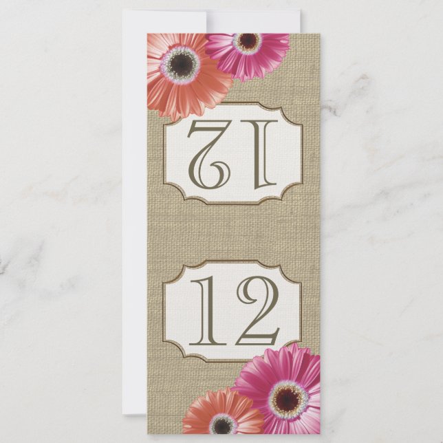 Gerbera Daisy Pink and Coral Table Number (Front)