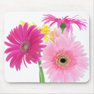 Gerbera Daisy Pink Flowers Mouse Pad