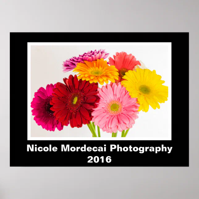 Gerbera Daisy Poster | Zazzle