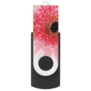 Gerbera Daisy Poster Flash Drive