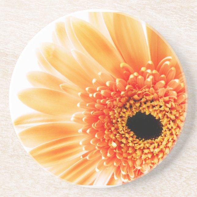 Gerbera Daisy Sandstone Coaster (Front)