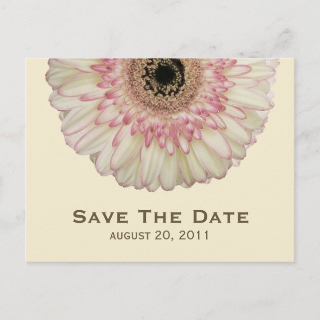 Gerbera Daisy Save The Date Postcard (Front)