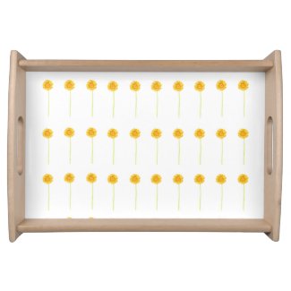 Gerbera daisy  serving tray