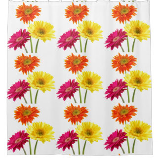 Gerbera Daisy Shower Curtain