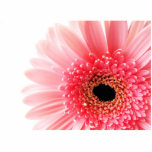 Gerbera Daisy Statuette<br><div class="desc">com</div>
